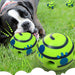 Ball Interactive Dog Toy - HANBUN