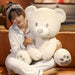 Stuffed Teddy Bear Pillow - HANBUN