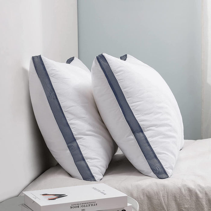 2 Fluffy Pillows 20x30 Inches Large - HANBUN