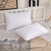 Queen Pillow 20x30 Inch (Pack of 2) - HANBUN