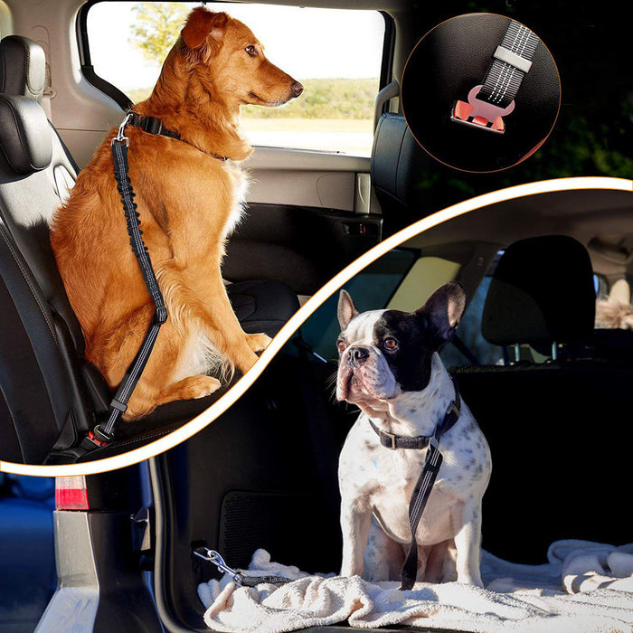 Anti-shock Dog Seat Belt