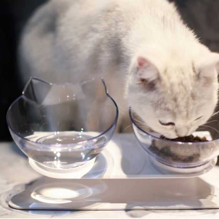 Cat Food Bowls - HANBUN