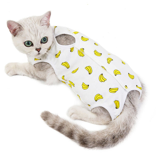 Cat Recovery Protection Suit - HANBUN