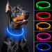 LED Pet Luminous Collar - HANBUN