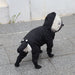 Small Dog Waterproof Jumpsuit - HANBUN