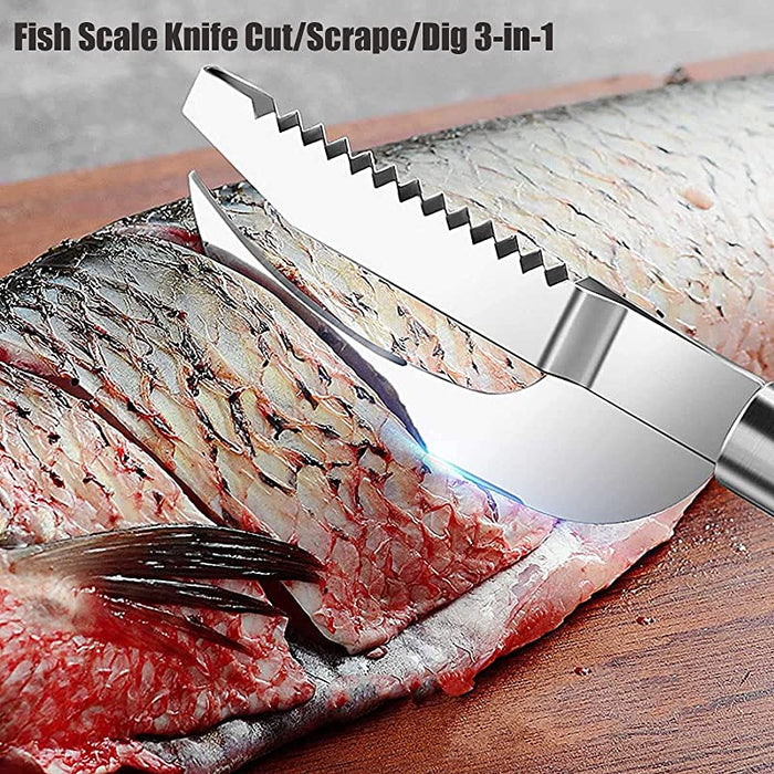 Scaling Knife 3 In 1 Fish Scale Knife Cut / Scrape / Dig Fish Belly Knife - HANBUN