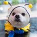 Pet Dog Hooded Rain Coat - HANBUN