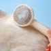 Pet Hair Remover Brush - HANBUN