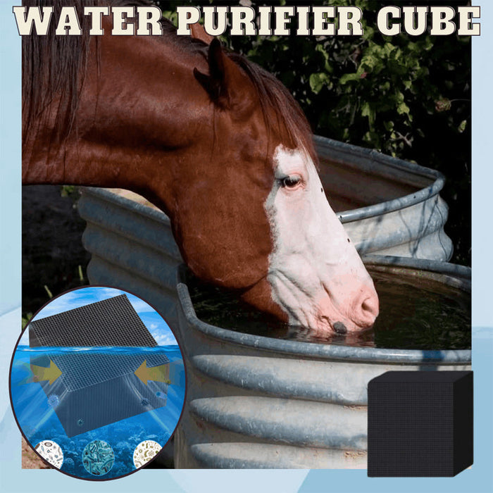 Water Purifier Cube (🎉SPECIAL OFFER 50% OFF)🎉 - HANBUN